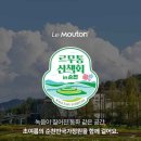 르무통 산책회 in 순천: 6월의 싱그러움을 더할 특별한 걷기 여정 이미지
