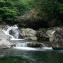 대아약국 이미지