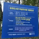 서울곰두리체육센터 | 송파구 서울곰두리체육센터 2026년 추첨제 (+수영 수강 후기 포함)