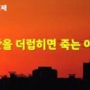 샤밧을 더럽히면 죽는 이유 (토라포션 출35:1~20) 이미지