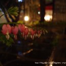 cafe M(카페 엠) 이미지