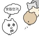 태양회포차