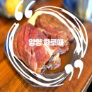 양양 현지인 맛집 로컬 맛집 양양 시장에 위치한 화로애❤️