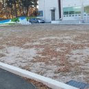 영천게이트볼장 이미지