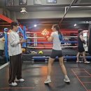 홍수환 스타복싱 이미지