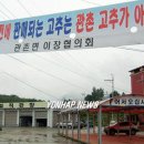 관촌고추 연합뉴스