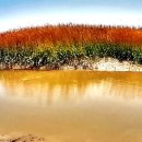 김하나 행정사 사무소 이미지