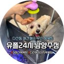 고양이 목욕탕 | 유폴24시 남양주점 애견셀프무인목욕탕 방문기