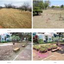 중랑천 제2체육공원 | 장길자 위러브유, 지구의 날 기념 맘스가든 프로젝트