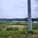 발랑국수 - 의정부시 신곡로 47 | 파주 맛집 발랑저수지가 눈앞에 보이는 감성식당 발랑국수 셀프바베큐후기