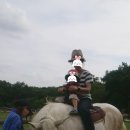 미나목장 이미지