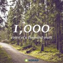 천년지향 이미지