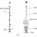 대한P&J