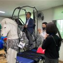 대원포티스 이미지