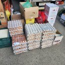 123식자재도매유통 | 대구부터 구미김천 경주포항 식자재 유통 모두 가능한 곳!!