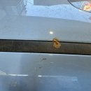 디테일링센터 | 🚗 루페스 빅풋 디테일링센터 영등포점 후기｜영등포 세차 꼼꼼함에 감탄한 이유