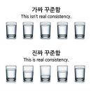 에코이앤씨 | 더샵갤러리 - 이끼: 공존의 시대 후기