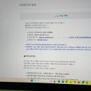 2025 제30회 부산국제영화제 자원봉사자: 관객서비스팀 [자소서, 면접, 활동후기]