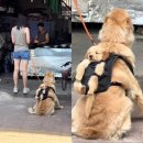 일상로그 이미지