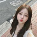 참머리사랑 이미지
