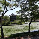 죽전현대공인중개사사무소 이미지