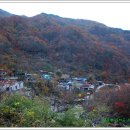피아골상회