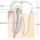 굿치과 이미지