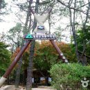 월출산 천황야영장 이미지