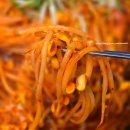 [평택] 소사벌맛집 비전동맛집 콩나물등뼈찜 후기 '녹색집 평택본점'
