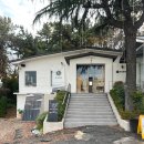 청산1954 | 금련산역 광안리 맛집 청산1954 오독낙지볶음 내돈내산 후기