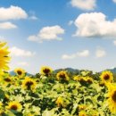 씨앤씨뮤직스튜디오 이미지