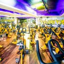 바디플레닛 짐 이미지