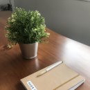 스마트티아모 이미지