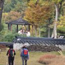 대청호 오백리길/4구간 이미지