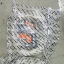 86모토