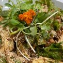 더(The) 미주농원 120 이미지