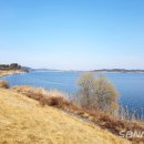 양화면행정복지센터 이미지