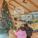 하비스트키즈풀빌라 | 장성 대형 카페 토끼뜰 아이랑 가기 좋은 광주 근교 가볼만한곳