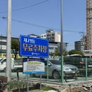 무무꽃 | 제천 명동 감성 가득 분위기 좋은 카페 커피스탠드 무무 후기