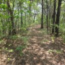 인계초등학교 이미지