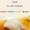 노란물고기