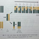 (주)고추와 육종 | 7. 약배양에 의한 반수체식물 육성