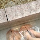 남원 사랑채 이미지