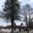 버스정류장(용산역1번출구) | 미군들의 삶을 엿보다 <용산 어린이 정원 후기 2탄>