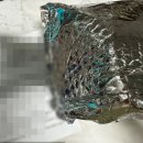 디아이컴퍼니 이미지
