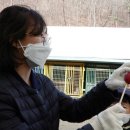 후계자 농장 이미지