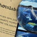 포토랩플러스 - 경산시 대학로59길 6 | 포토랩플러스