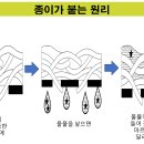 늘봄퍼포먼스 2D-2 물풀놀이 (방과후 물풀놀이 참조) 이미지
