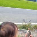 선두포낚시터 이미지