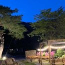 빛의 정원 - 20 이미지